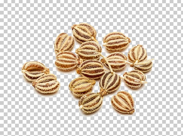 Ajwain Fruit Stock Photography PNG, Clipart, Ajwain, Commodity, Food, Fotolia, Fruit Free PNG Download