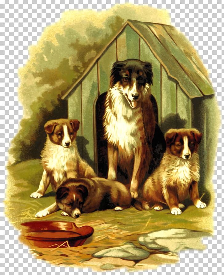 Beagle Puppy Kitten Pet Dog Breed PNG, Clipart, Animal, Animals, Beagle, Canidae, Carnivoran Free PNG Download