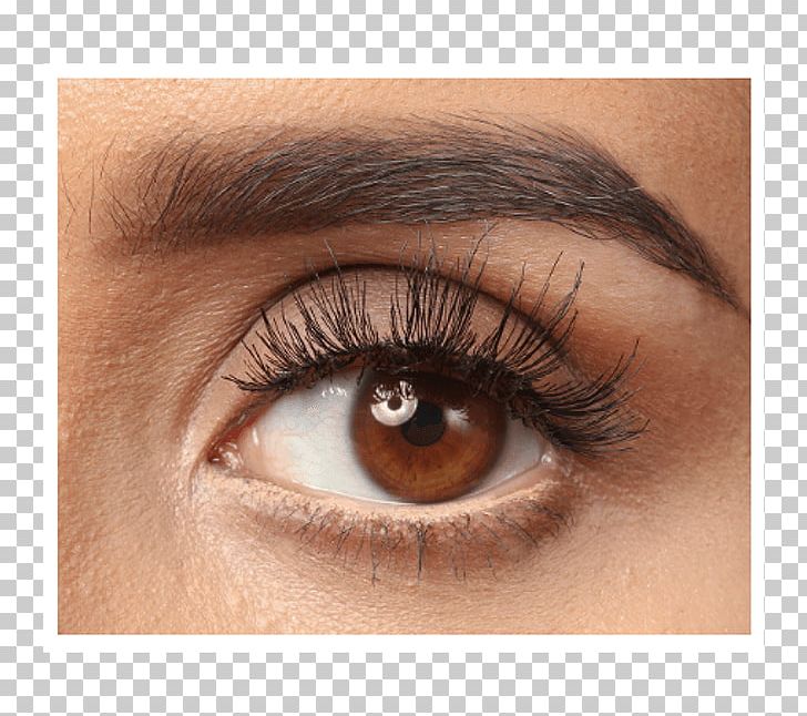 Eyebrow Permanent Makeup Microblading Cosmetics Eye Liner PNG, Clipart, Beauty, Closeup, Cosmetics, Eye, Eyebrow Free PNG Download