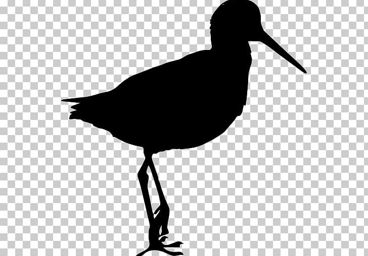 Bird Sandpiper Computer Icons PNG, Clipart, Animal, Animals, Animal Silhouettes, Art, Auk Free PNG Download