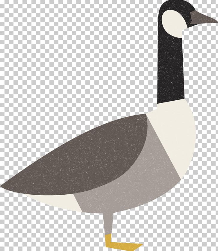 Goose Bird Duck Cygnini Anatidae PNG, Clipart, Anatidae, Animal, Animals, Beak, Bird Free PNG Download