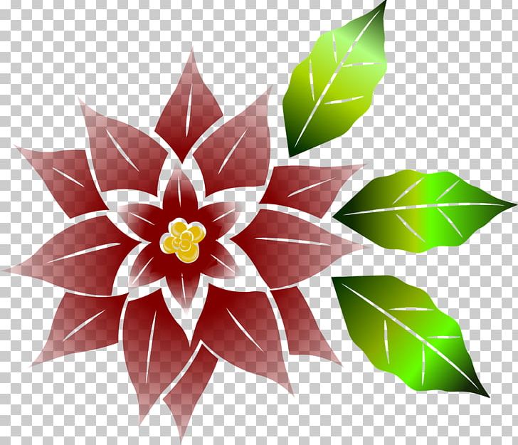 Poinsettia Flower Christmas PNG, Clipart, Christmas, Christmas Flower, Common Holly, Dahlia, Download Free PNG Download