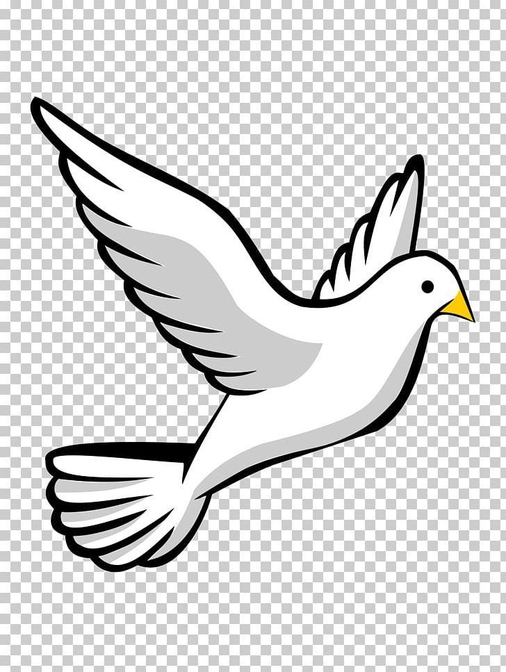 Columbidae Doves As Symbols PNG, Clipart, Artwork, Beak, Bird, Black And White, Branch Free PNG Download