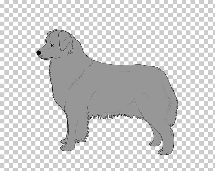 Dog Breed Puppy Sporting Group Retriever Tervuren PNG, Clipart, Art, Australian Shepherd, Bear, Black And White, Breed Free PNG Download