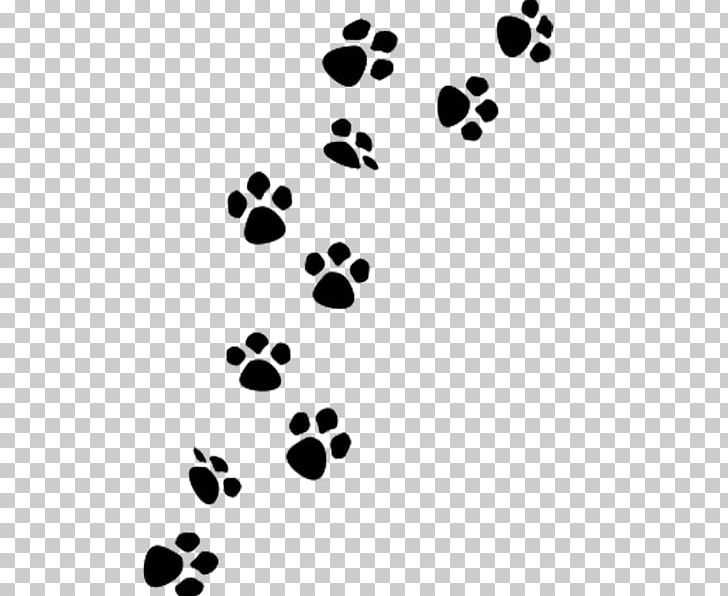 Dog Paw PNG, Clipart, Animals, Animal Track, Black, Black And White, Can Stock Photo Free PNG Download