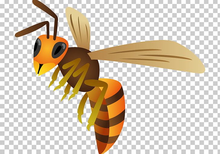 Honey Bee Hornet True Wasps PNG, Clipart, Ant, Arthropod, Bee, Educational Entrance Examination, Fly Free PNG Download