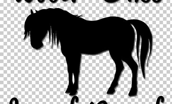 Horse Pony Silhouette Foal Equestrian PNG, Clipart, Animals, Black And White, Bridle, Colt, Dressage Free PNG Download