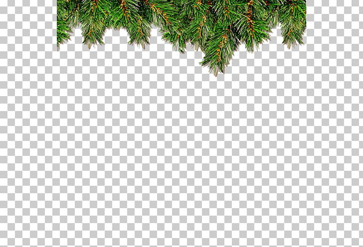 Christmas Ornament Christmas Decoration Christmas Tree PNG, Clipart, Branch, Christmas, Christmas Border, Christmas Frame, Christmas Lights Free PNG Download