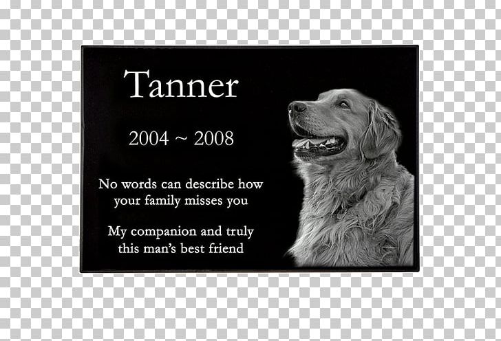 Headstone Dog Memorial Pet Commemorative Plaque PNG, Clipart, Animals, Black And White, Cemetery, Commemorative Plaque, Cremation Free PNG Download
