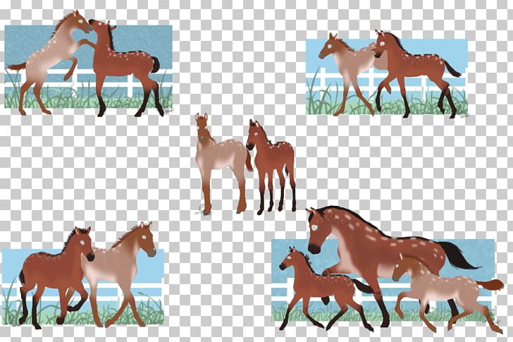 Mule Mustang Foal Mare Stallion PNG, Clipart,  Free PNG Download