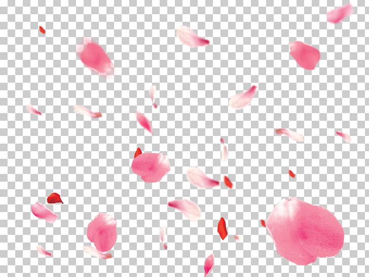 Portable Network Graphics Petal Psd Flower PNG, Clipart, Beauty, Blossom, Closeup, Computer Wallpaper, Desktop Wallpaper Free PNG Download