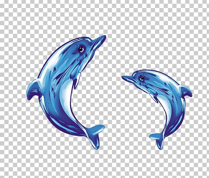 Common Bottlenose Dolphin Short-beaked Common Dolphin Tucuxi Glass PNG, Clipart, Animal, Animals, Blue, Blue Dolphin, Cute Dolphin Free PNG Download