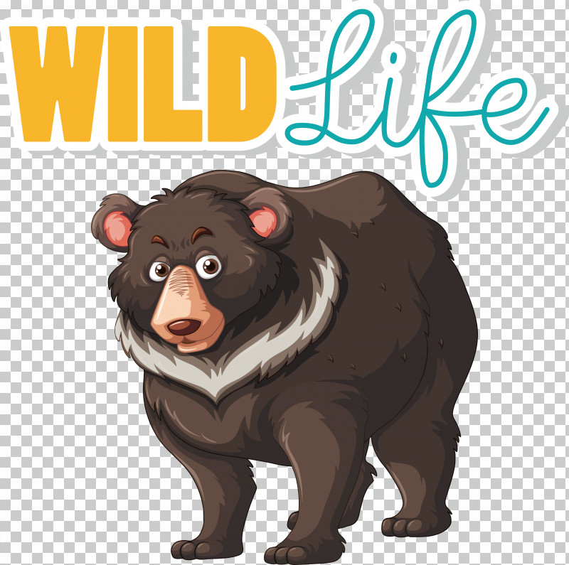 Grizzly Bear Bears Drawing Royalty-free Brown Bear PNG, Clipart, Bears, Brown Bear, Drawing, Grizzly Bear, Royaltyfree Free PNG Download