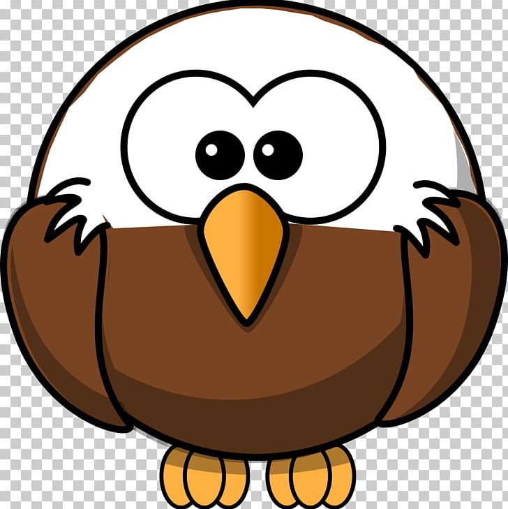 Bald Eagle PNG, Clipart, Animals, Artwork, Bald Eagle, Beak, Bird Free PNG Download