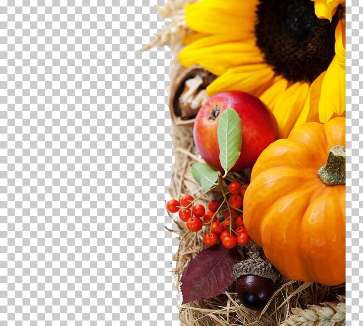 Autumn Still Life Pumpkin PNG, Clipart, Apple Fruit, Autumn, Autumn Still Life, Calabaza, Flower Free PNG Download