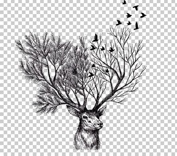 Deer Paper Tree Drawing Illustration PNG, Clipart, Animals, Antler, Art, Black And White, Branch Free PNG Download