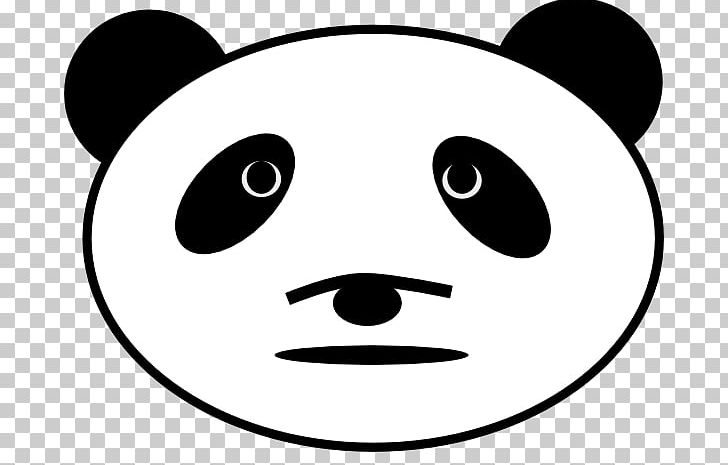 Giant Panda American Black Bear Red Panda PNG, Clipart, American Black Bear, Bear, Black, Black And White, Cuteness Free PNG Download