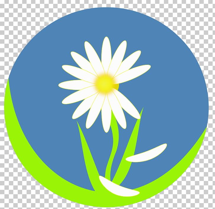 University Of Rajshahi Higher Education PNG, Clipart, Artwork, Circle, Convocation, Daisy, Daisy Family Free PNG Download