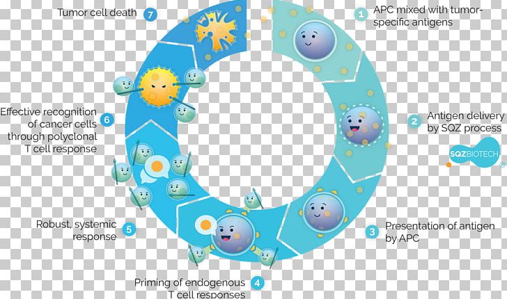 Antigen-presenting Cell Cancer Cell T Cell PNG, Clipart, Antigen, Antigen Presentation, Antigenpresenting Cell, Apc, Area Free PNG Download