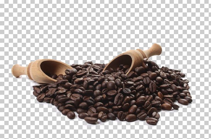 Jamaican Blue Mountain Coffee Coffee Cup Cafe Instant Coffee PNG, Clipart, Bean, Beans, Cafe, Caffeine, Cofe Free PNG Download