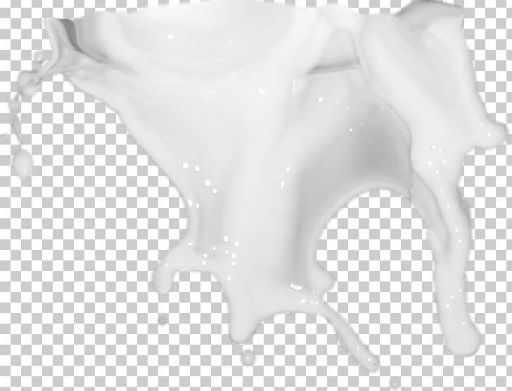 Milk White Splash PNG, Clipart, Black And White, Coconut Milk, Color, Download, Drop Free PNG Download