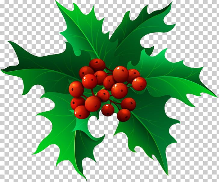 Mistletoe Christmas PNG, Clipart, Aquifoliaceae, Aquifoliales, Art Christmas, Christmas, Christmas Clipart Free PNG Download