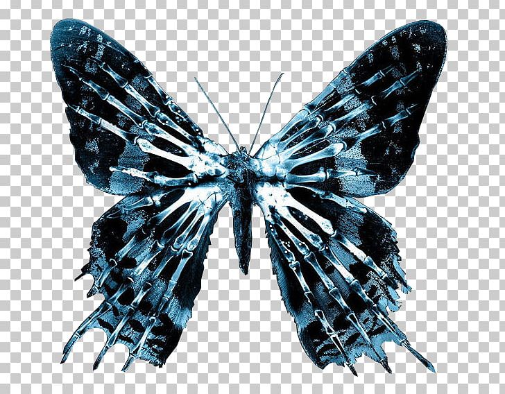 Nina Sharp Television Show Butterfly Effect PNG, Clipart, Arthropod, Brush Footed Butterfly, Butterfly, Butterfly Effect, Desktop Wallpaper Free PNG Download