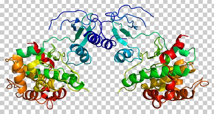 PAK4 Protein Gene Exon Integrin PNG, Clipart, Annexin A5, Cell Membrane, Exon, Food, Gene Free PNG Download