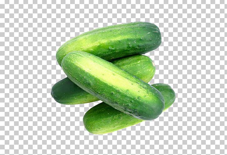 Pickled Cucumber Pickling Produce Organic Food PNG, Clipart,  Free PNG Download