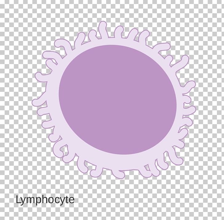 Wikimedia Commons Wikimedia Foundation PNG, Clipart, Attribute, Cancer Research Uk, Circle, Diagram, Lymphocyte Free PNG Download