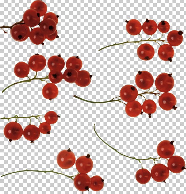 Zante Currant Pink Peppercorn Body Jewellery STXEA NR EUR PNG, Clipart, Berry, Body Jewellery, Body Jewelry, Cherry, Currant Free PNG Download