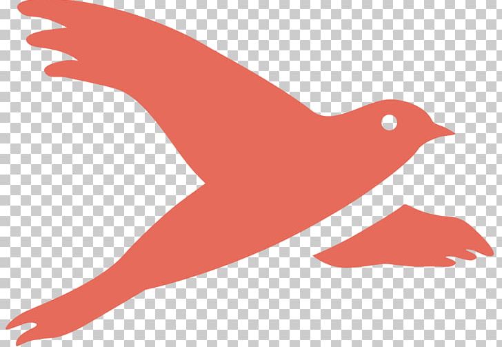 Beak Fauna Line RED.M PNG, Clipart, Beak, Bird, Fauna, Line, Red Free PNG Download