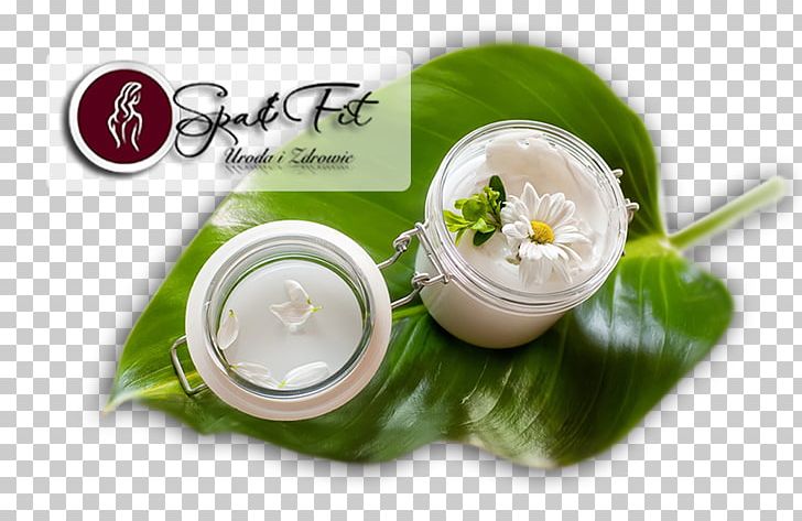 Cosmetics Ayurveda Skin Care Lotion Therapy PNG, Clipart, Alternative Health Services, Cosmetics, Cream, Food, Hair Free PNG Download