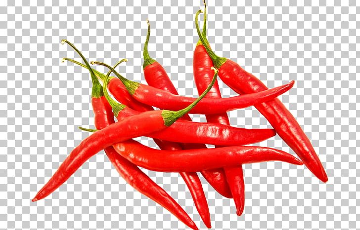 Bell Pepper Chili Pepper PNG, Clipart,  Free PNG Download