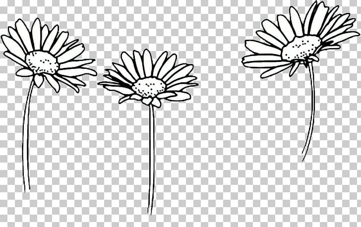 Drawing Flower Floral Design PNG, Clipart, Art, Artwork, Black And White, Body Jewelry, Common Daisy Free PNG Download