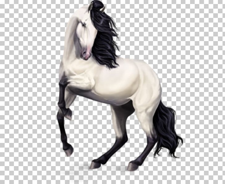 Howrse Arabian Horse Lusitano Icelandic Horse Mustang PNG, Clipart, Andalusian Horse, Breed, Chestnut, Friesian Horse, Gypsy Horse Free PNG Download