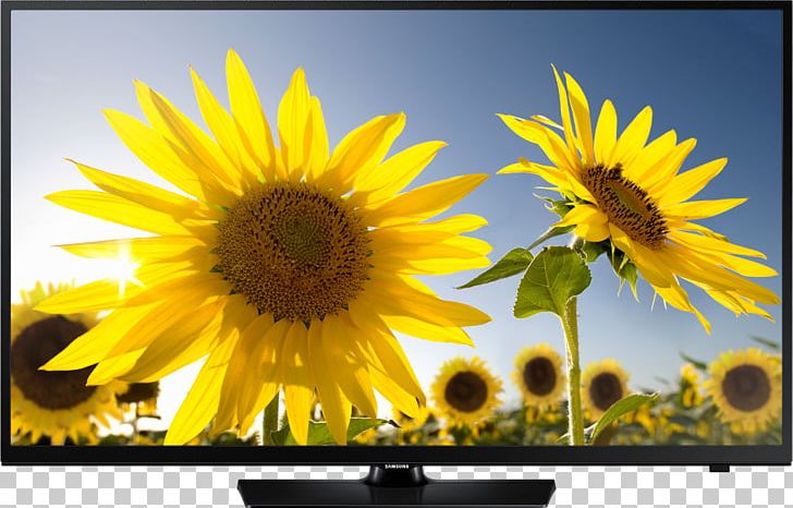 LED-backlit LCD Samsung Smart TV High-definition Television 1080p PNG, Clipart, 4k Resolution, 720p, 1080p, Daisy Family, Display Device Free PNG Download
