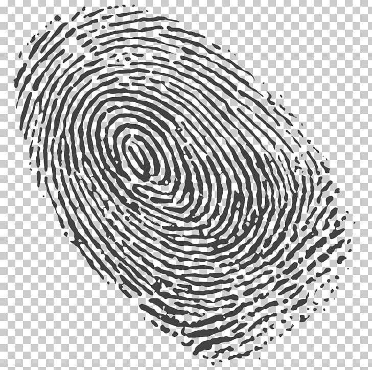 Fingerprint Spiral PNG, Clipart, Area, Black And White, Chart, Circle, Drawing Free PNG Download
