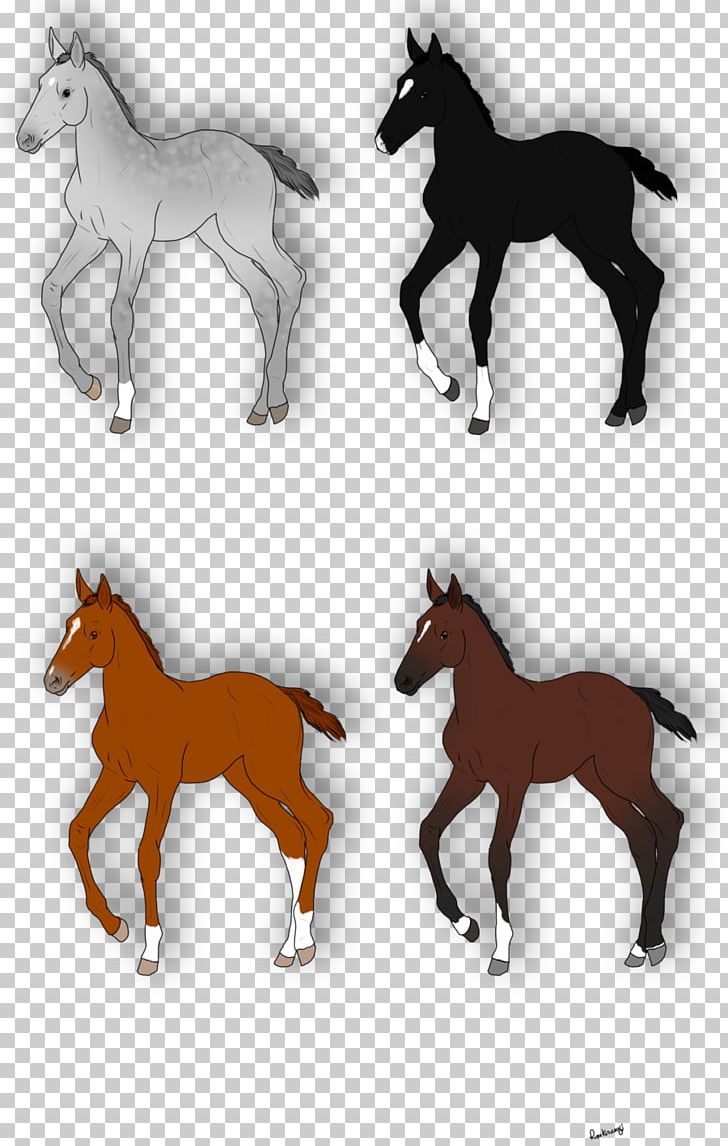 Mustang Foal Stallion Colt Mare PNG, Clipart, Animal Figure, Colt, Fauna, Foal, Horse Free PNG Download