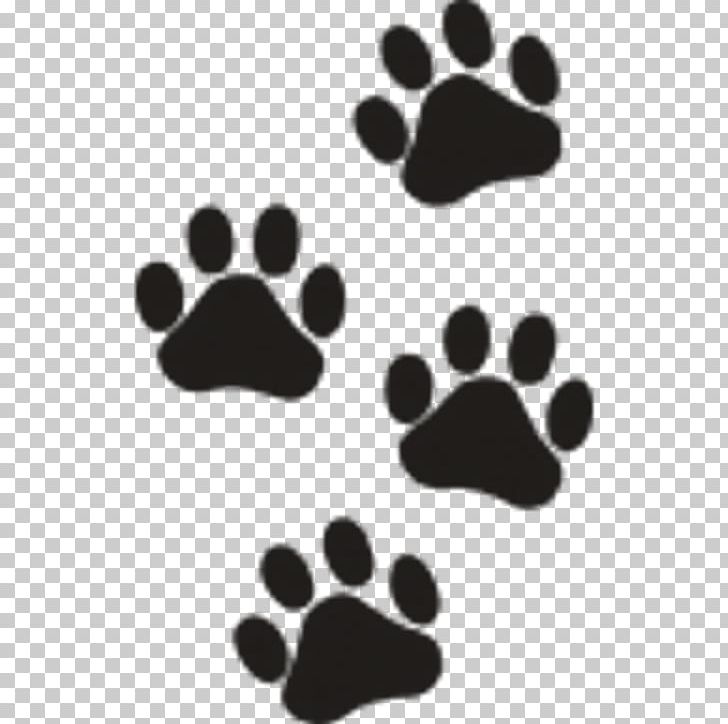 Paw Cat Dog Bear Tiger PNG, Clipart, Animal, Animals, Animal Track, Bear, Black Free PNG Download