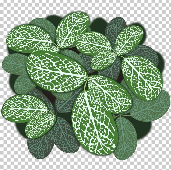 Plant Leaves Leaf PNG, Clipart, Computer Icons, Green, Inkscape, Leaf, Plant Free PNG Download