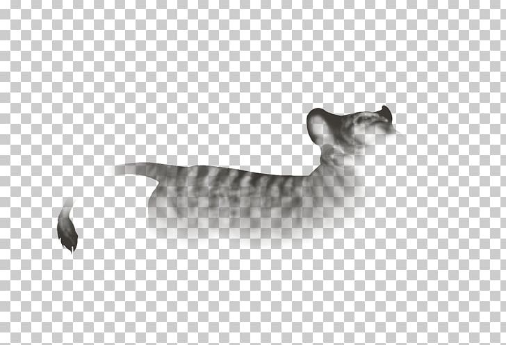 Tabby Cat Toyger Domestic Short-haired Cat Whiskers Fauna PNG, Clipart, Black, Black And White, Black M, Carnivoran, Cat Free PNG Download