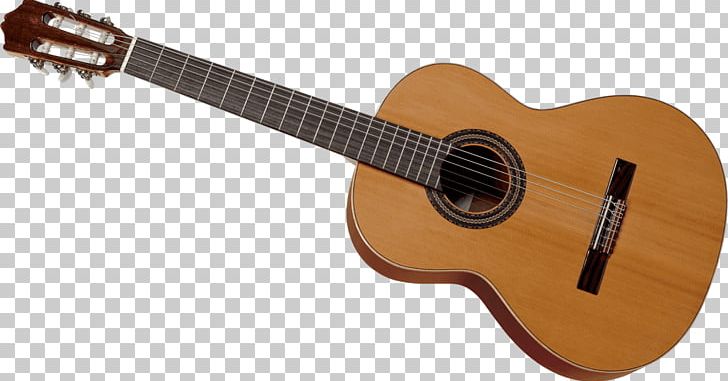 Acoustic Guitar Bass Guitar Tiple Acoustic-electric Guitar Cuatro PNG, Clipart, Acoustic Electric Guitar, Classical Guitar, Cuatro, Guitar Accessory, Massif Free PNG Download