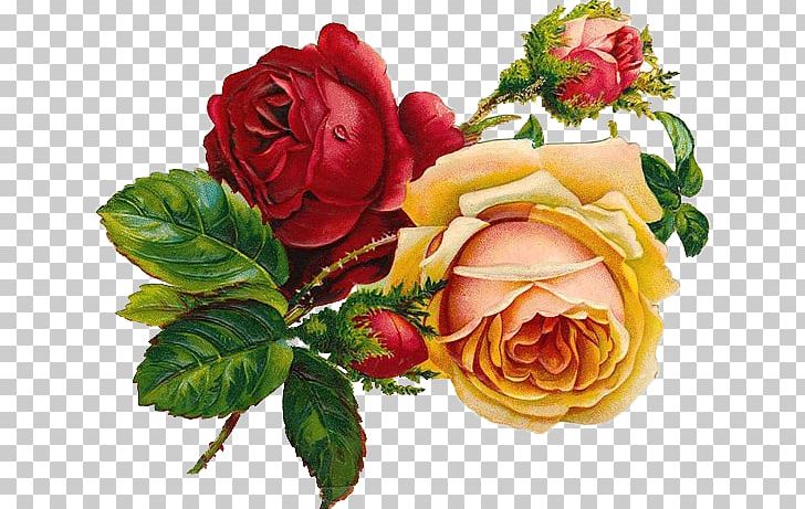 Drawing Rose Floral Design Flower Art PNG, Clipart, Art, Art Museum, Color, Colored Pencil, Cut Flowers Free PNG Download