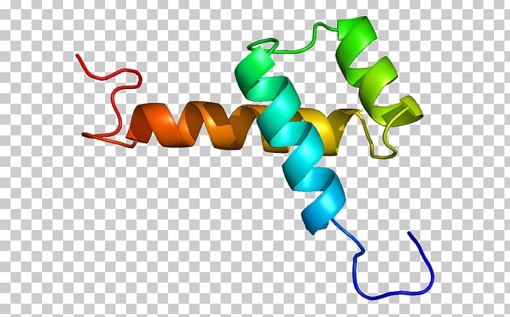 NK2 Homeobox 1 Gene Thyroid Peroxidase Transcription Factor PNG, Clipart, Artwork, Corepressor, Dna, Enzyme, Gene Free PNG Download