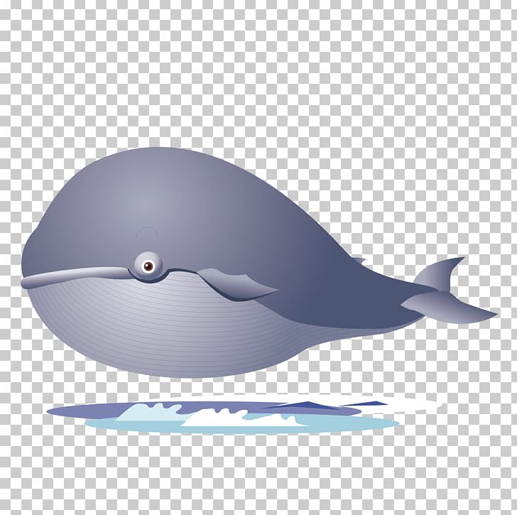 Shark Porpoise Dolphin PNG, Clipart, Animals, Big Shark, Cartoon Shark, Cetacea, Computer Wallpaper Free PNG Download