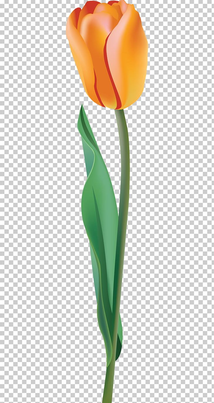 Tulip PNG, Clipart, Archive File, Arum, Computer Icons, Cut Flowers, Desktop Wallpaper Free PNG Download