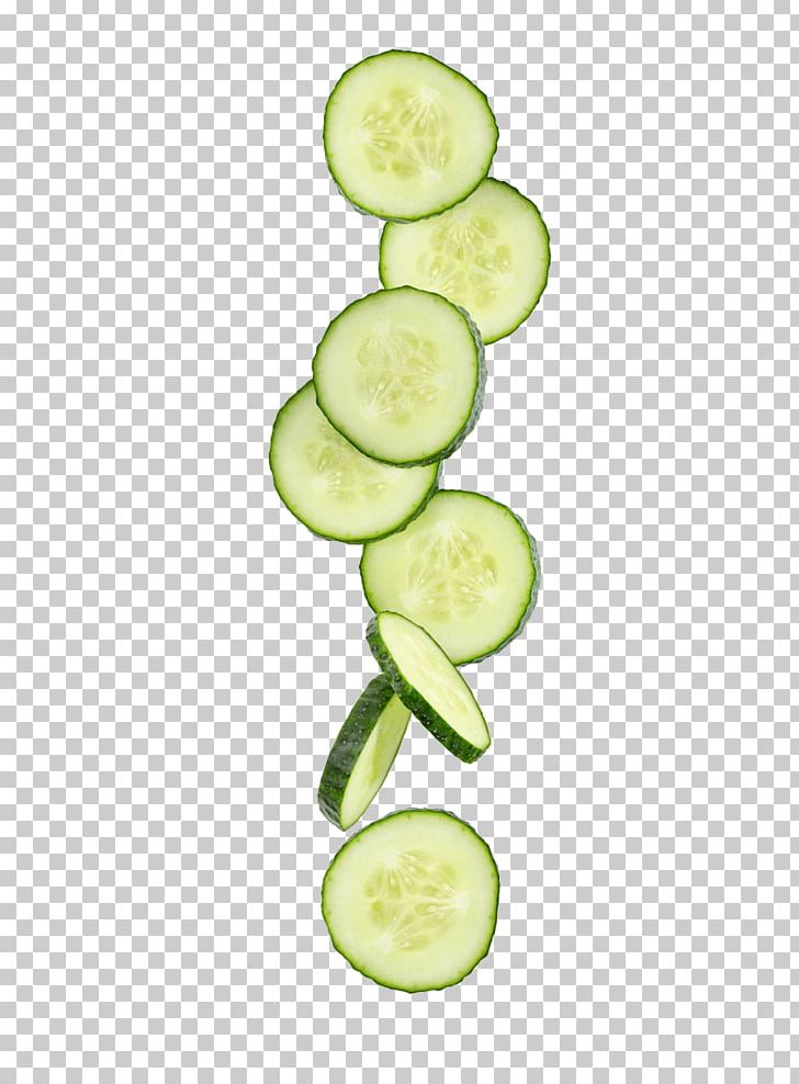 Featured image of post Cucumber Slice Png Cartoon Subpng offers free slicing cucumber clip art slicing cucumber transparent images slicing cucumber vectors resources for you