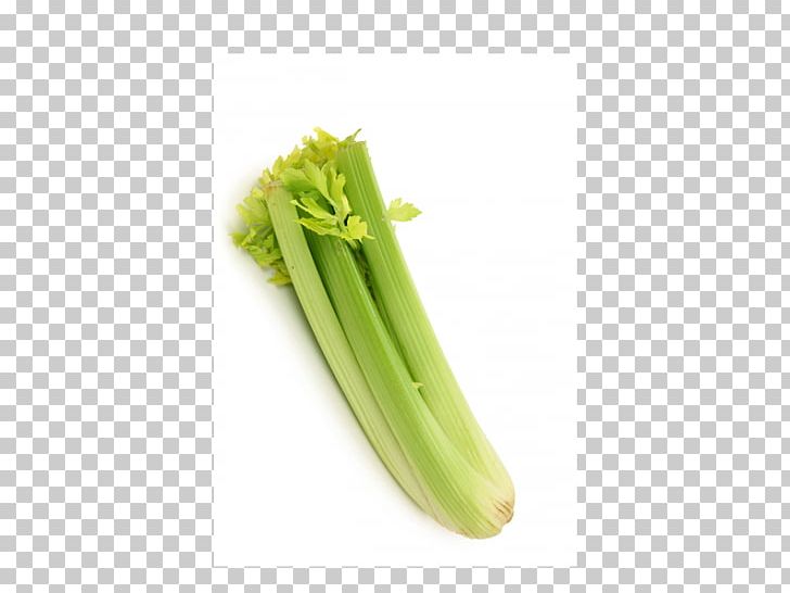Vegetarian Cuisine Scallion Milk Vegetable Celery PNG, Clipart, Bitter Melon, Bundle, Celery, Commodity, Dairy Products Free PNG Download