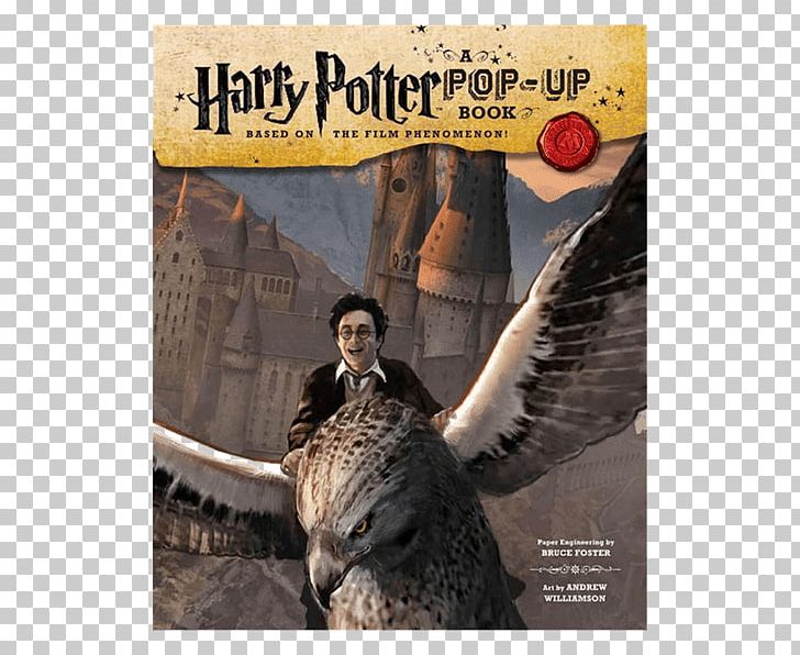 Harry Potter: A Pop-Up Book Film Series PNG, Clipart, Beak, Book, Concept, Emag, Excitable Free PNG Download